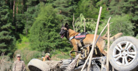 Gürcistan Şovi'deki heyelanda ölü sayısı yükseliyor