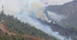 Antakya'da orman yangını