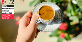 Psikolog Mesut Aslan: Fal baktırmak insanları suistimale açık hale getirebilir - 2