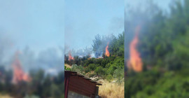 Muğla'da orman yangını