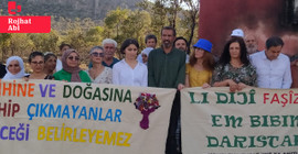 Yeşil Sol Diyarbakır milletvekilli Ceylan Akça: Lice'deki yangılar da, müdahale biçimleri de politik