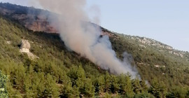 Mersin'de orman yangını çıktı