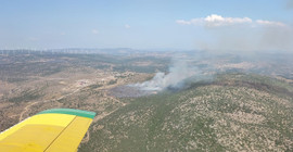 İzmir'de makilik alandaki yangın kontrol altına alındı