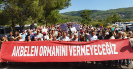 İkizköy Çevre Komitesi'nden Akbelen'deki talan için suç duyurusu