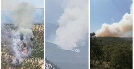 Bolu, Antalya ve Denizli'de orman yangını