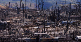 Hawaii'deki yangında ölenlerin kimlikleri açıklanmaya başladı, ölü sayısı 106'ya ulaştı