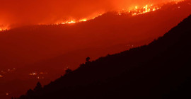 Kanada, İspanya ve Yunanistan'da orman yangınları: Maui'de ölü sayısı 114'e yükseldi