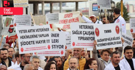 Veteriner hekimler şiddete karşı iş bıraktı: Sağlıkta Bakanlığı kapsamına alınmamamız mağdur ediyor