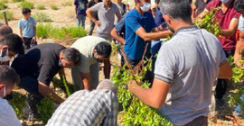 Hatay'da bir haftadır kayıp olan Yasemin, açlık ve susuzluktan ölmüş