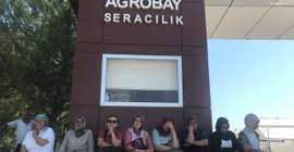 Agrobay Seracılık'ta işten atılan işçiler: Kimseden sadaka istemiyoruz, mesai paralarımızı istiyoruz