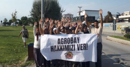Agrobay Seracılık işçileri: Biz hakkımızı almada kararlıyız, direneceğiz