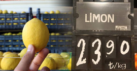 Bahçede 3, halde 4 liraya satılan limon, aynı kentin market rafında 24 lira