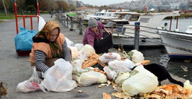 Sokak Hayvanlarını Besleyen Behice Teyze ve Kızı