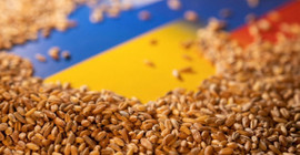 Ukrayna'dan tarım ürünleri ithalatını yasaklayan üç ülkeye dava