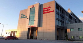 Urfa'da fıstık işçilerini taşıyan araç kaza yaptı: Üç yaralı