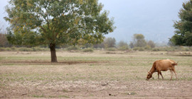 İklim değişikliği araştırması: Türkiye'de sel ihtimali artıyor