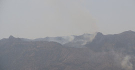 Cudi Dağı’nda yangın