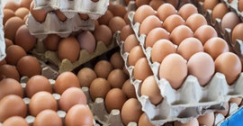 Yumurtanın fiyatı bir yılda ikiye katlandı