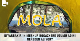 Diyarbakır'ın meşhur Boğazkere üzümü adını nereden alıyor? - Mola - 1 Ekim 2023