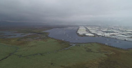 Erdoğan'ın imzasıyla 'Kesin Korunacak Alan' ilan edilmişti: Hürmetçi Sazlığı'nın bir bölümüne sanayi bölgesi yapıldı