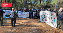 Muğla’da orman yolu diye çevre yolu yapımı Danıştay’a taşındı