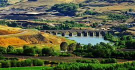 Dicle Vadisi yok oluyor