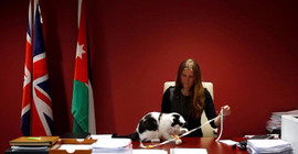 İngiltere'nin ilk diplomat kedisi