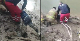 İntihar etmek için ırmağa giderken çamura saplanıp mahsur kaldı, itfaiye kurtardı