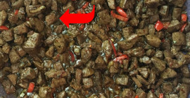 Ciğerin daha lezzetli olması için bilmeniz gerekiyor! Böyle pişirilirse kuru kalmıyor