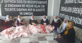 'Özgürlük Nöbeti' devam ediyor... Eylemdeki mahpus yakınları: Gelin 2024'ü özgürlük yılı yapalım