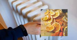 Peteklerinin üzerine konursa ne işe yarıyor? Limon, Portakal ve Mandalina kabuklarını atmayın