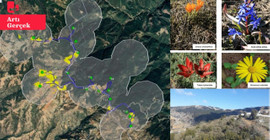 Sabancı’nın RES projesine yürütmeyi durdurma: Proje sahasında 20 endemik bitki türü bulunuyor