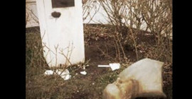 Ahmed Arif'in Diyarbakır'daki büstü söküldü