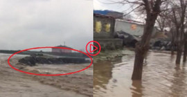 Diyarbakır'da dere taştı, ev ve ahırları su bastı