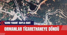 Bir ihale daha: Antalya'daki ormanlar ticarethaneye döndü