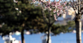 Bugün hava nasıl olacak? (25 Şubat pazar günü hava durumu)
