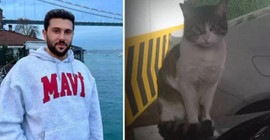 Kedi Eros'a işkence davası yarın görülecek: 'İbrahimKeloğlantutuklansın' etiketi gündem oldu