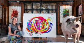 Ressam domuz Pigcasso öldü