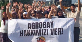 Yedi aydır direnişte olan Agrobay işçileri ilk kazanımlarını elde etti: 'Maaşları ve yıllık izinleri ödendi'