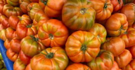 Tohumcular: Domatesi 250 TL’ye yersiniz