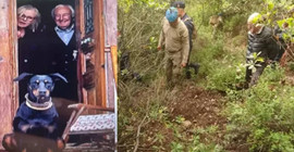 Korhan Berzeg'in ölümünde sırtlan saldırısı ihtimali gündemde, kemiklerde diş izi aranıyor