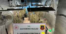 Kastamonu'da kenevir üreten 4 zanlıdan 2'si tutuklandı