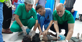 Gazze'de hastane hastane dolaşıp imdada yetişen tanınmış Filistinli doktor, 'İsrail işkencesinde' öldü