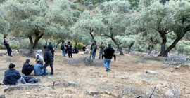 Kayıp koyunlarını aramaya çıkan çiftçi, ölü bulundu