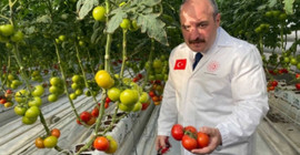 Açılışını Bakan Varank yapmıştı: AKP'li belediyenin serası günde 3 ton kömür yakmış