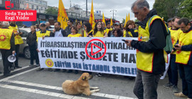 Öğretmenler şiddete ve itibarsızlaştırmaya karşı sokağa çıktı