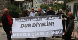 Dersim’deki ağaç kıyımına tepki: Kesim ihaleleri durdurulsun