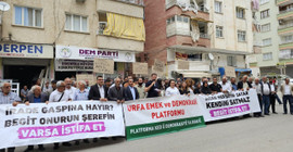 Urfa'da STK'ler, Birecik'te DEM Parti binasına saldırıyı protesto etti