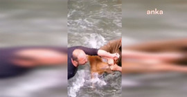 Çoruh Nehri'ne düşen karaca kurtarıldı