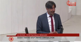 DEM Partili Bozan'dan AKP grubuna: Adınızın 'Redgiller' olması lazım